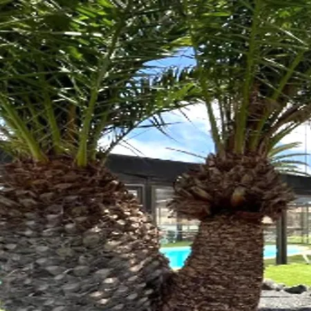 Гостевой дом Confortable Con Piscina Y Estilo *